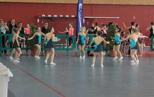 Minimes Honneur - Départemental 2014