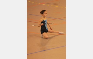 Camille - Départemental individuel 2013
