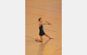 Camille - Départemental individuel 2013