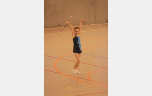 Camille - Départemental individuel 2013