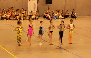 Camille - Départemental individuel 2013