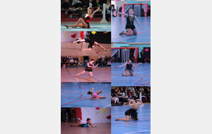 Petit montage des 8 twirlers ayant participé au championnat régional à Bessé sur Braye. Ludo